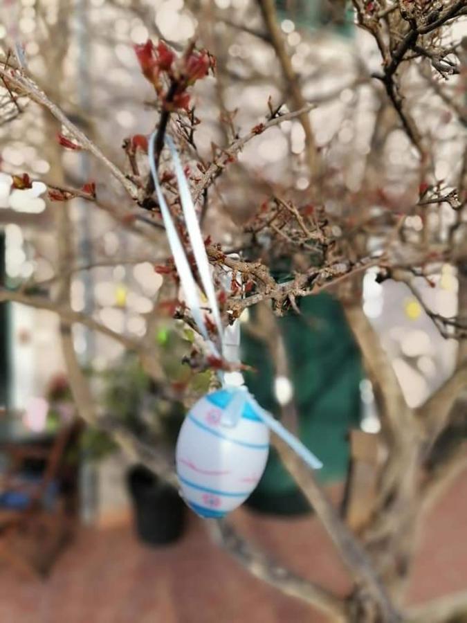 Dairos Διαμέρισμα Mali Lošinj Εξωτερικό φωτογραφία